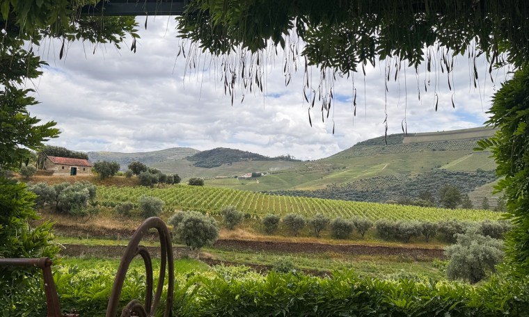 Review of the Complete Douro Valley Wine Tour with River Cruise in Portugal | Travel Tips for Porto,&nbsp;Portugal