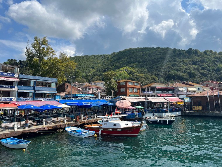 Review of the GetYourGuide Istanbul: Bosphorus and Black Sea Cruise with Lunch in Istanbul,&nbsp;Turkiye