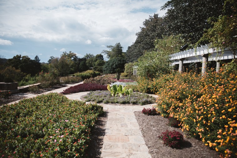 10 Free or Affordable Activities in Richmond, Va | A Visitor’s Guide to&nbsp;RVA